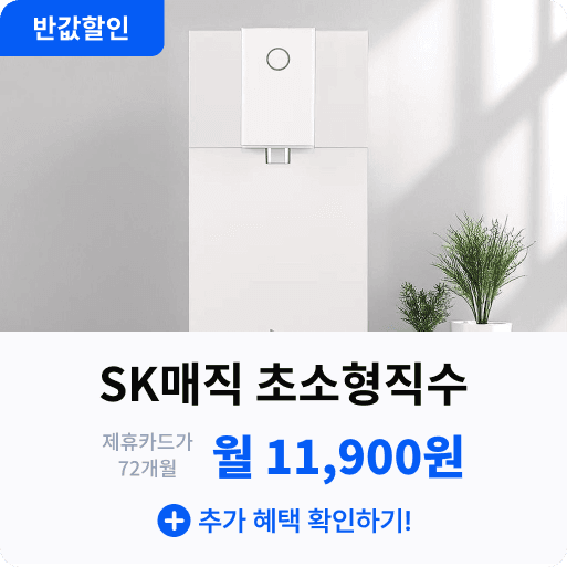 SK매직 초소형직수.png